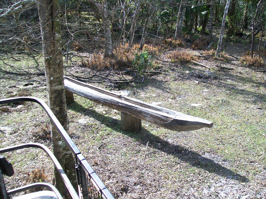 picture of Seminole canoe